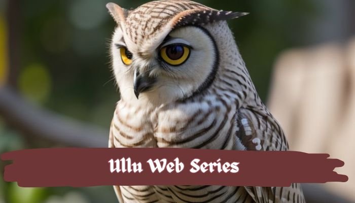 Ullu Web Series - उल्लू वेब सीरीज