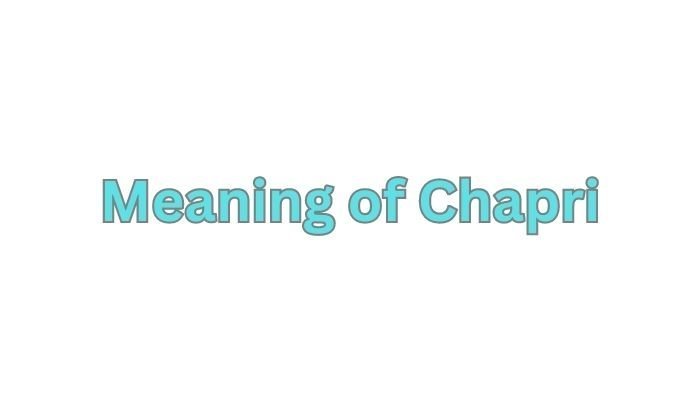 Meaning of Chapri