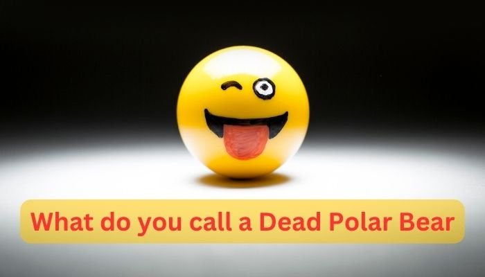 What do you call a Dead Polar Bear